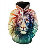 Anime Hoodies Men/Women 3D Sweatshirts With Hat Hoody