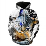 Anime Hoodies Men/Women 3D Sweatshirts With Hat Hoody