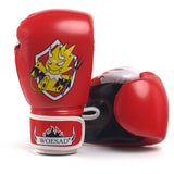 Free Fight MMA Sanda Training Equipment